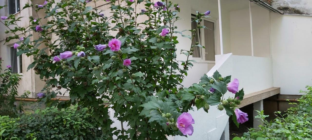Diamond Apartment Targu Mures Exterior photo